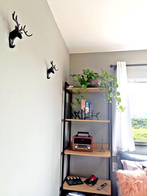 Tiny House Paraiso Minicasas Com Hidromassagem Pouso Alegre Zewnętrze zdjęcie